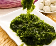 【魚園海鮮】澎湖海菜